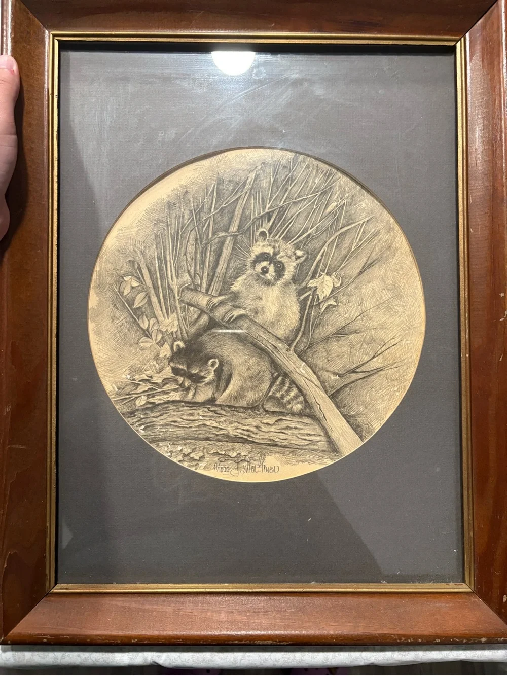 J. Allen True Signed Wildlife Art Print 41/1000 Framed Raccoons Sketch Vintage